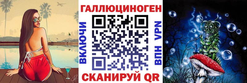 Галлюциногенные грибы Psilocybe Сураж